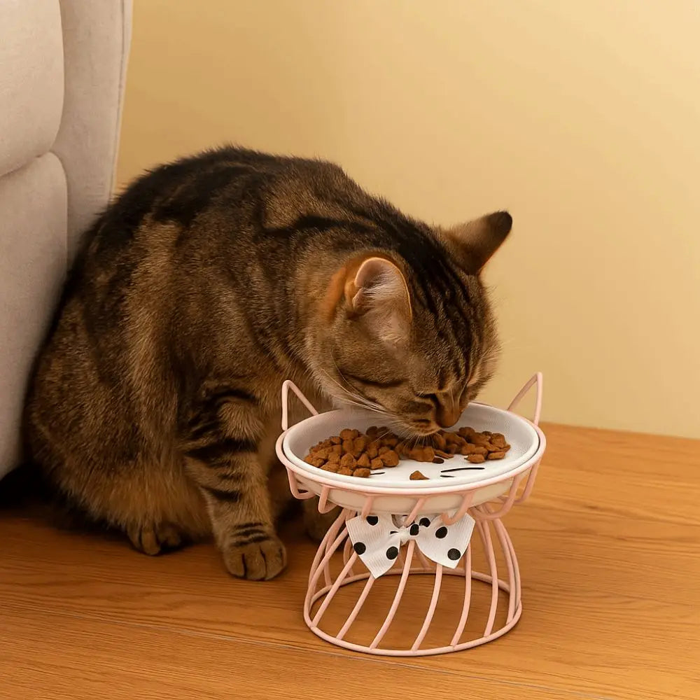 Elevated Ceramic Cat & Dog Bowl with Iron Stand | Non-Slip