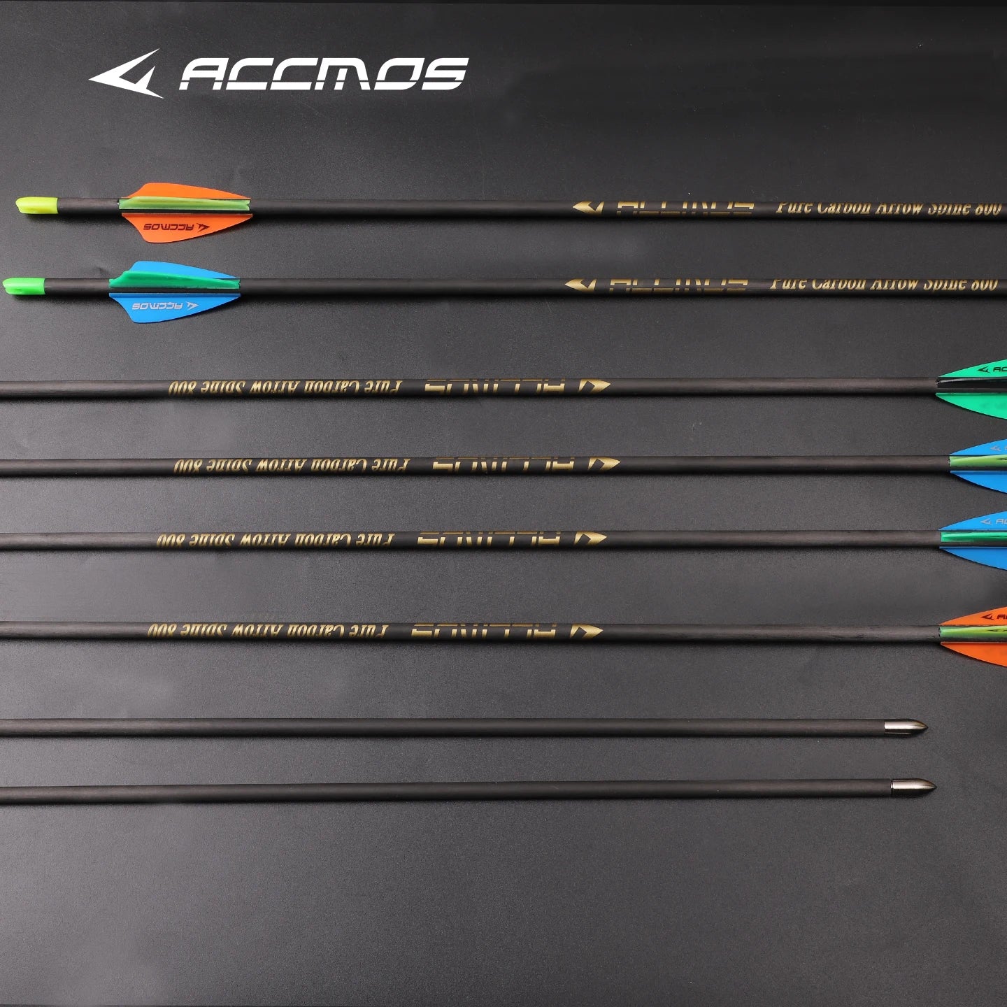 24 36 Beginner Practice Archery Pure Carbon Arrow Spine300 400 500