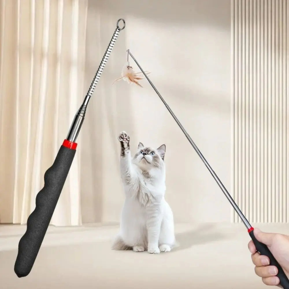 Retractable Metal Cat Wand Toy | Interactive Teaser Stick