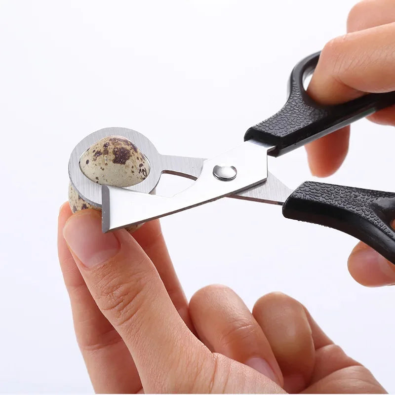 Scissors Kitchen Gadgets Quail Egg Bird Mixer Pigeons Kitchens Accessories Blade Clipper Stainless Steel Shells Scissor Househ Peaceful Pleasures Health and Wellness
