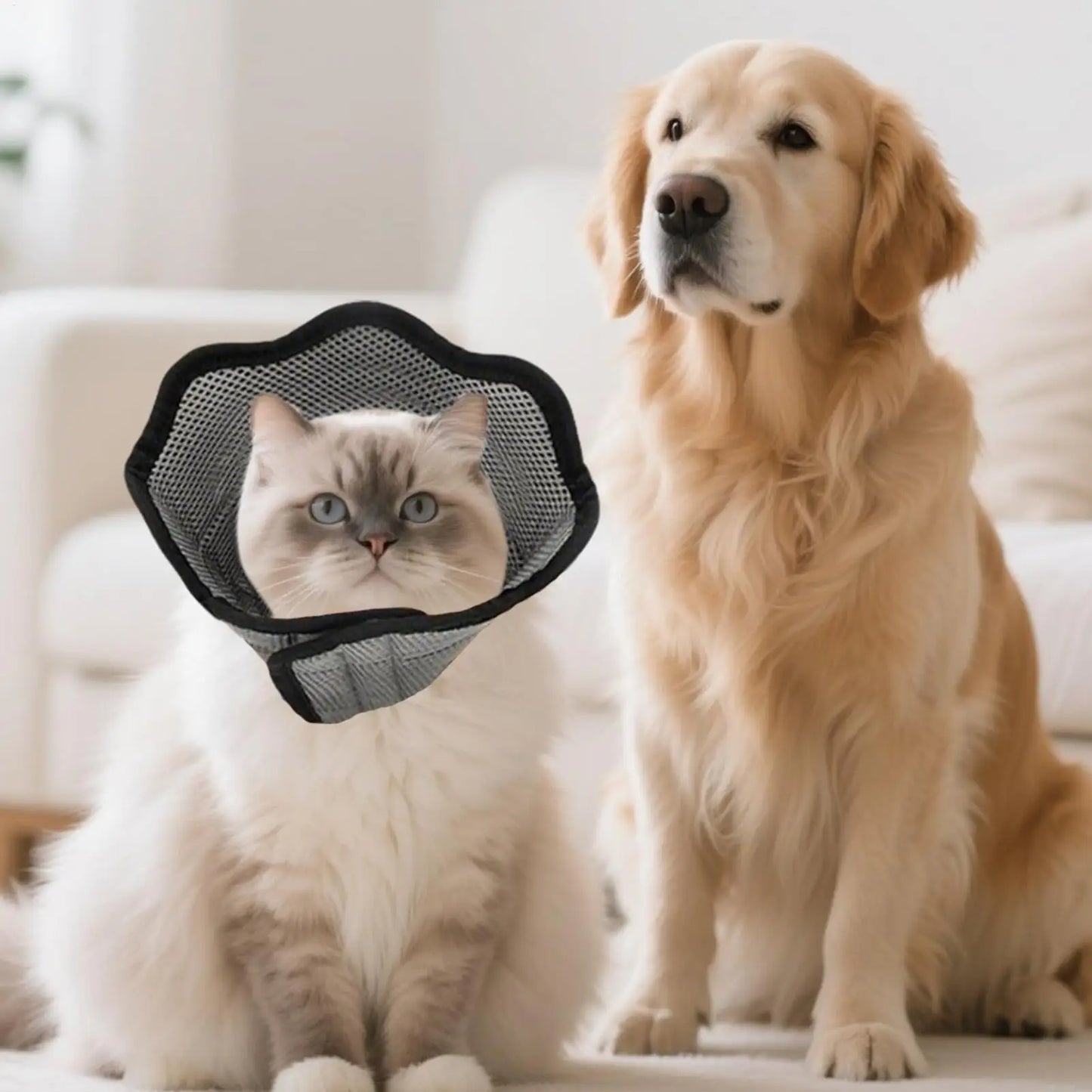 Soft Breathable Dog Recovery Cone Collar | Adjustable Pet Cone