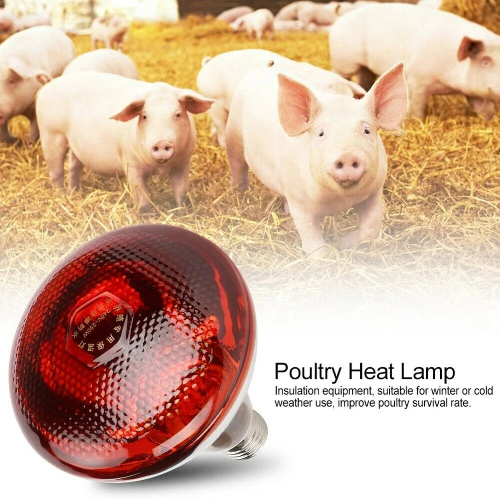 Infrared Heat Lamp 100–275W Quartz Glass E27 Breeding Bulb