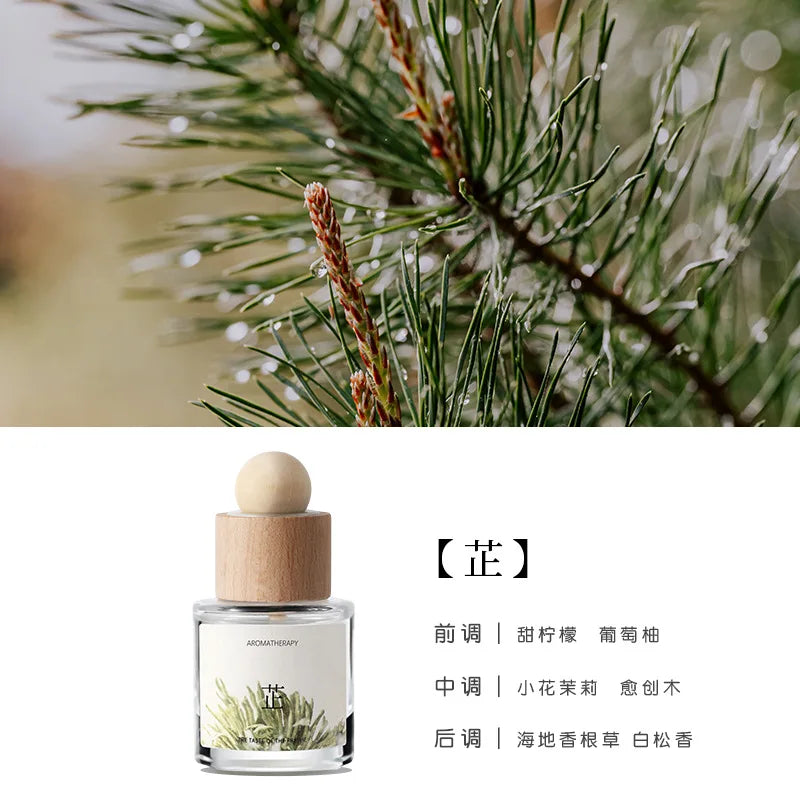 Sandalwood Car Air Freshener | Natural Liquid Scent, 61–90 Days Car Air Freshener Peaceful Pleasures Health and Wellness green