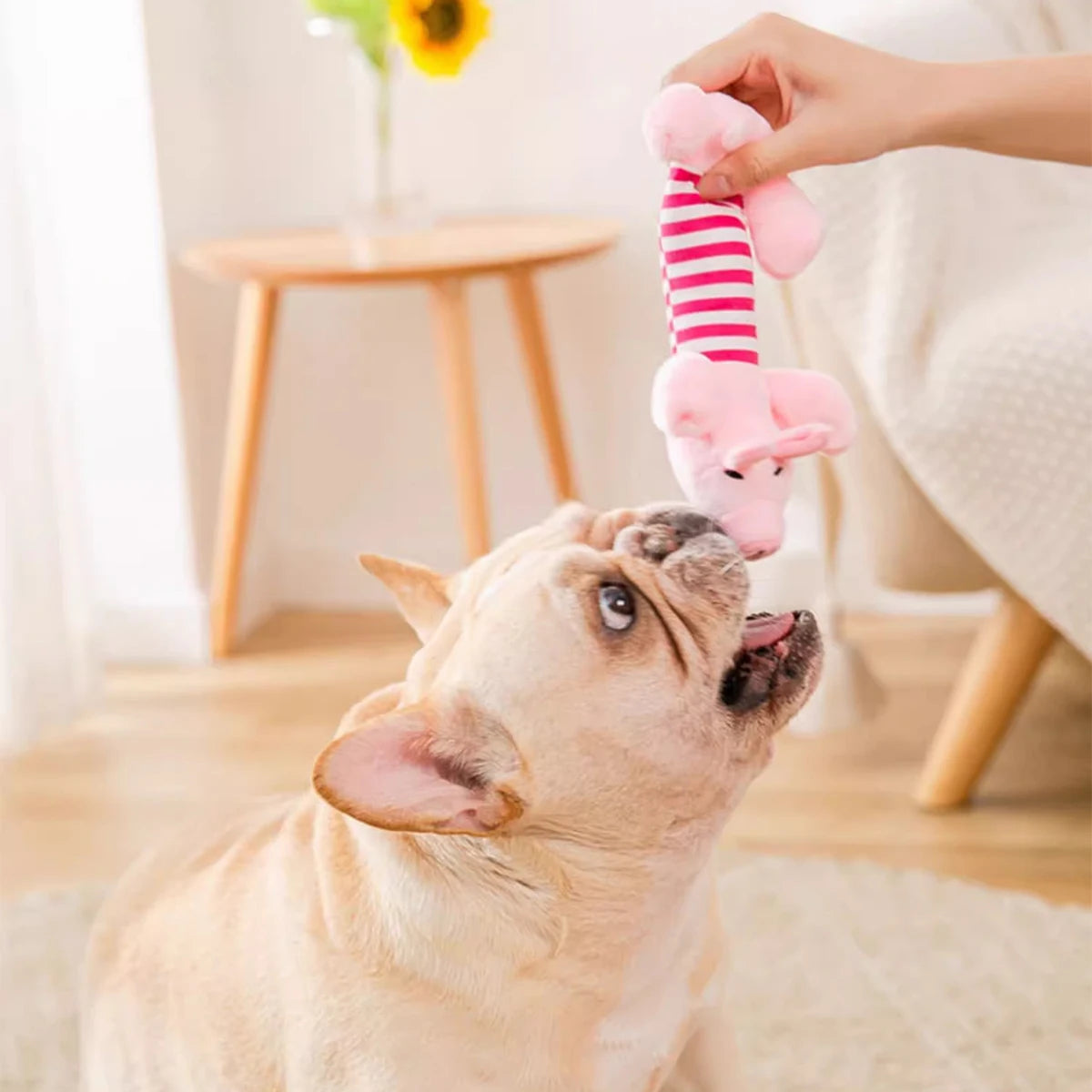 Plush Squeaky Crinkle Dog Toys – Elephant Duck Pig Set