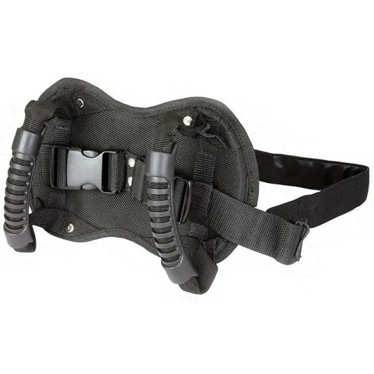 Motorcycle Handrail Motorcycle Rear Seat Passenger Safety Grip Frame Electric Vehicle Rear Seat Waist-buckling Safety Handrail Peaceful Pleasures Health and Wellness Black
