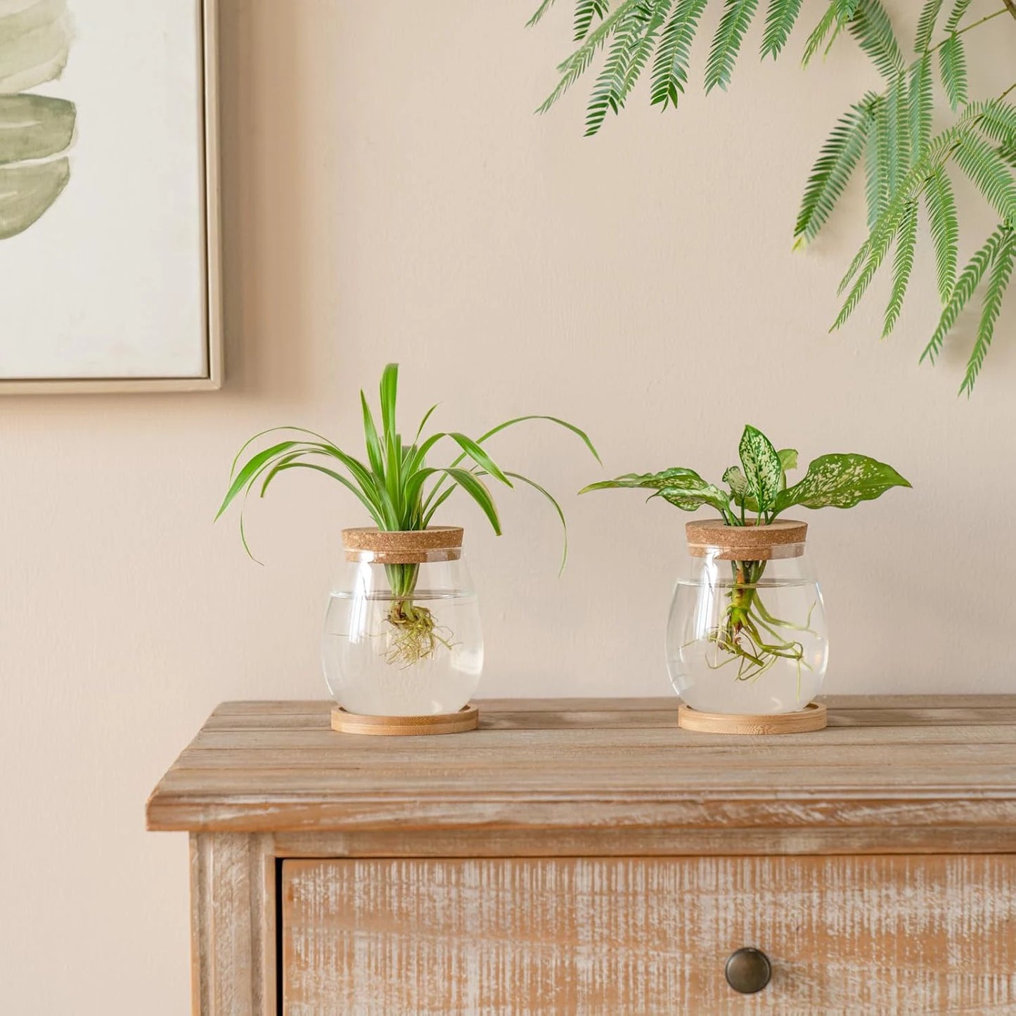 Plant Terrarium Transparent Vase Desktop Propagation Stations Glass Planter For Office Home Garden Decor Peaceful Pleasures Health and Wellness