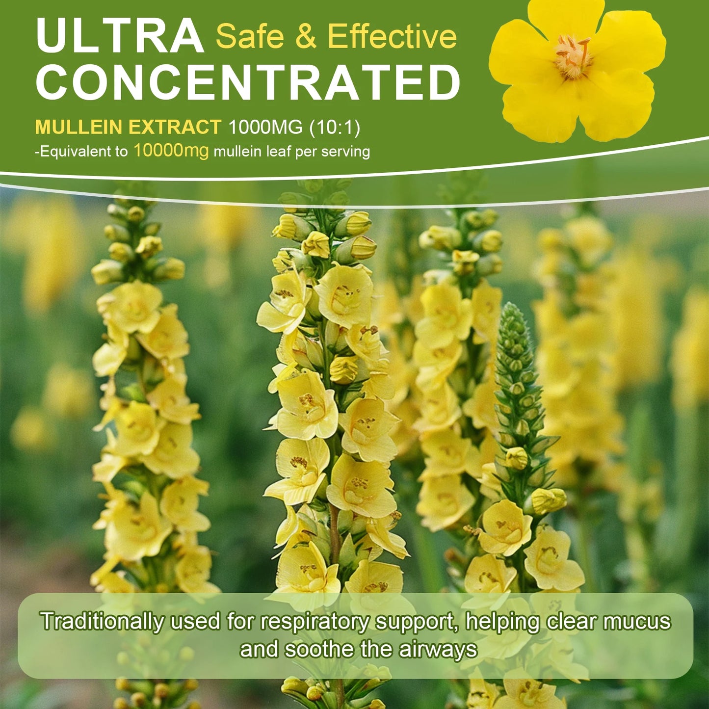 Mullein Leaf Extract Drops – Lung Detox, Respiratory & Immune Support | 60ml Peaceful Pleasures Health and Wellness