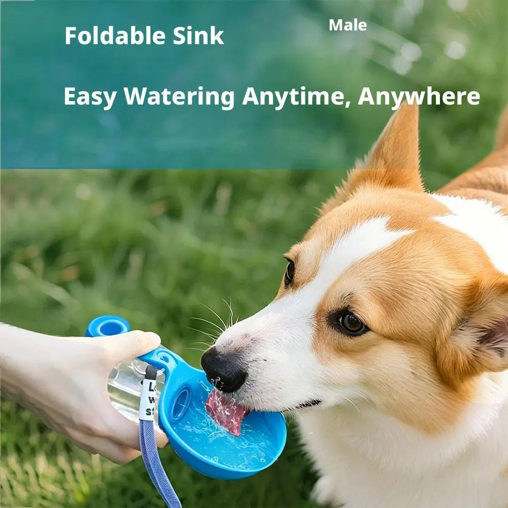 Portable Dog Water Bottle 285ml | Foldable Bowl, Leak-Proof