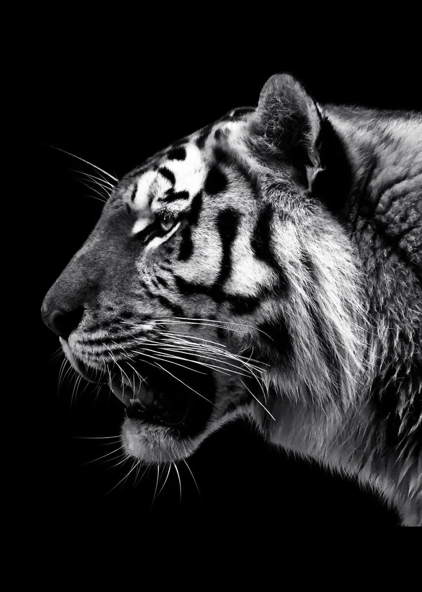 Black and White Animals Lions Family Elephant Giraffe Zebra Wall Poster Prints Canvas Painting Pictures for Kids Room Decor Peaceful Pleasures Health and Wellness