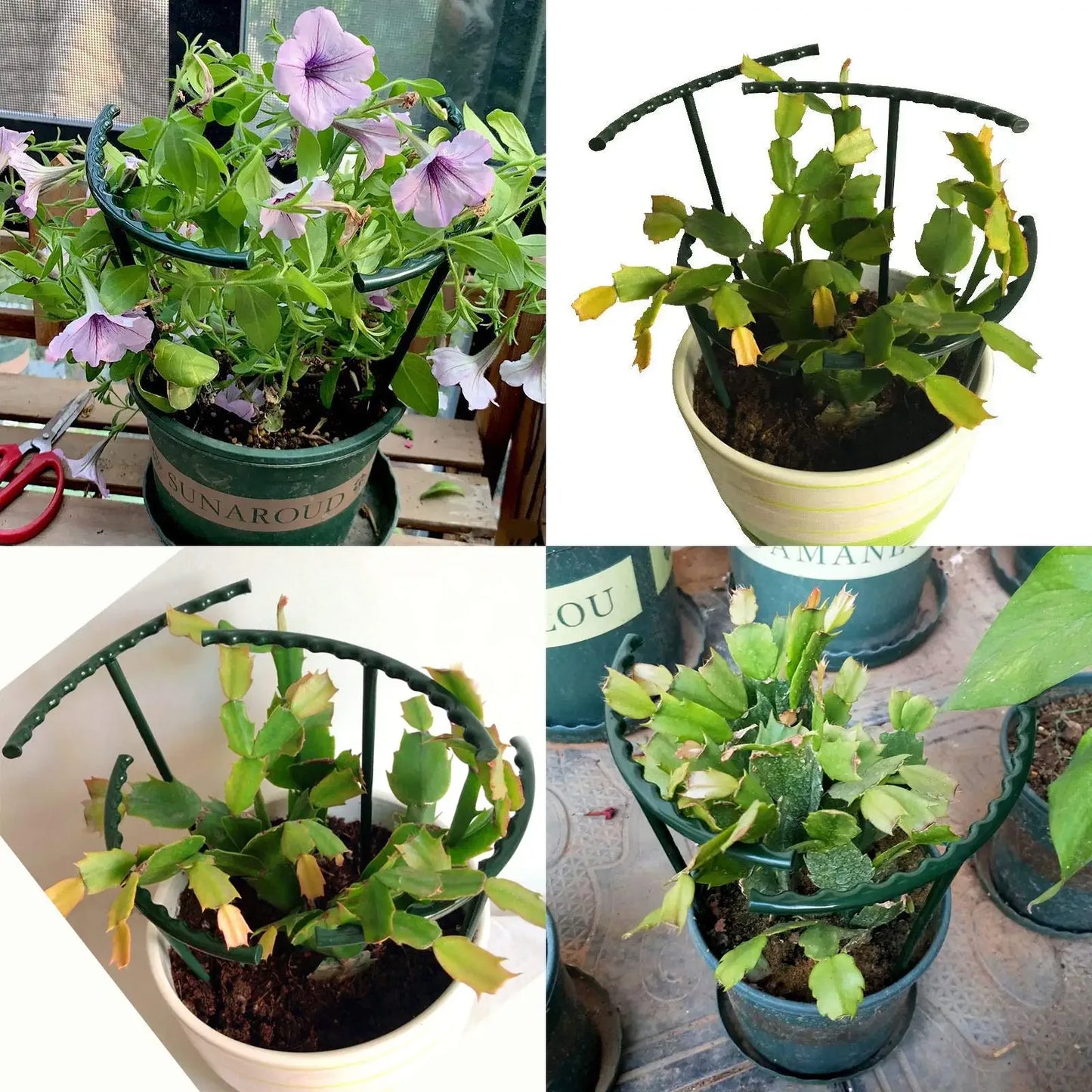 2/4/8PCS Plastic Plant Support Pile Frame Greenhouse Arrangement Semicircle Fixed Rod Indoor Flower Plant Vine Climbing Bracket Peaceful Pleasures Health and Wellness