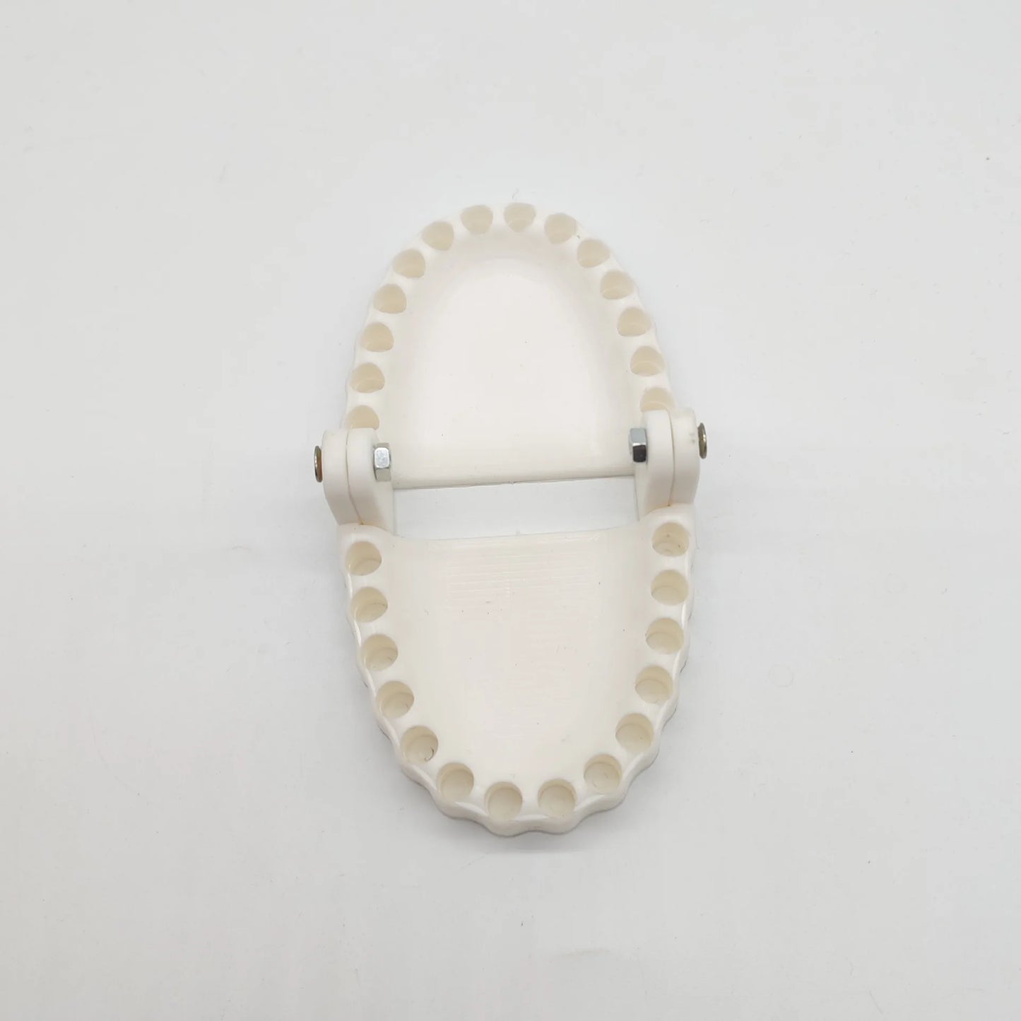 Funny Denture Drill Bit Holder for Screwdriver Teeth Model Screwdriver Bit Holder Fits 1/4 Inch Hex Bit Drive Bit Adapter Tools Peaceful Pleasures Health and Wellness white-no tool