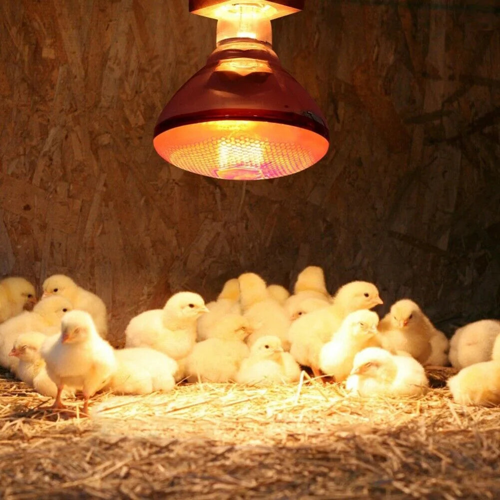 Infrared Heat Lamp 100–275W Quartz Glass E27 Breeding Bulb