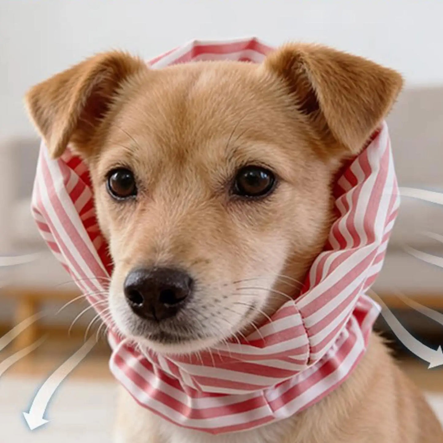 Dog Ear Covers & Neck Warmer – Breathable Pet Earmuffs S/M
