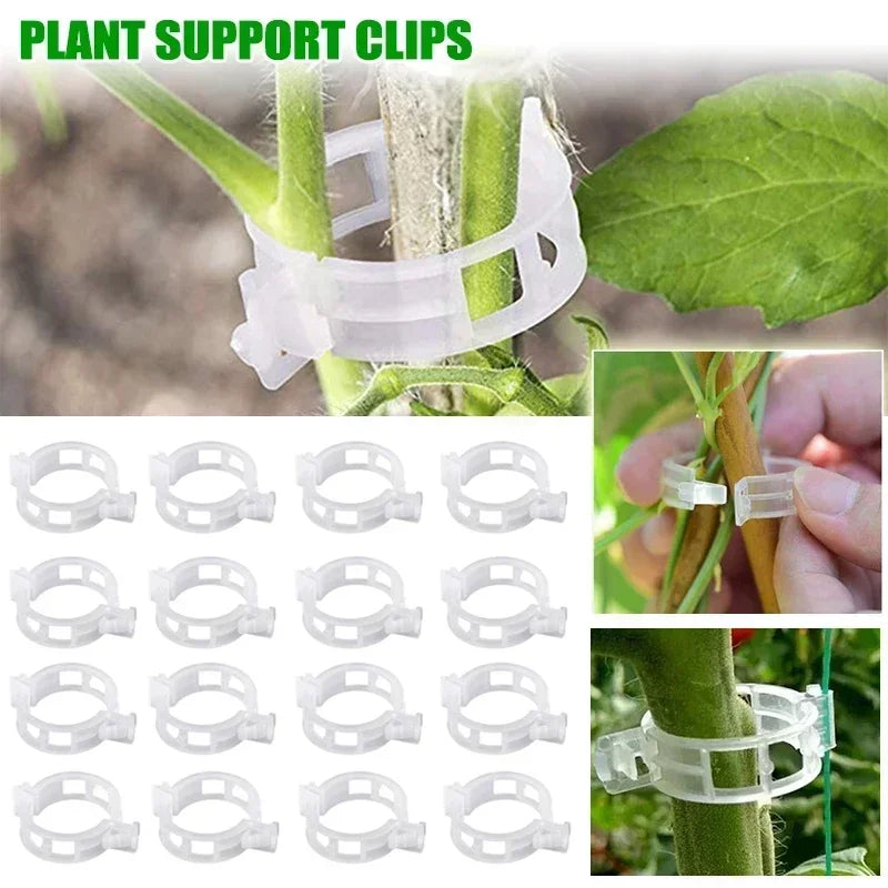 Plant Clips Supports Reusable Plastic Connects Fixing Vine Tomato Stem Grafting Vegetable Plants Orchard and Garden Tools Peaceful Pleasures Health and Wellness