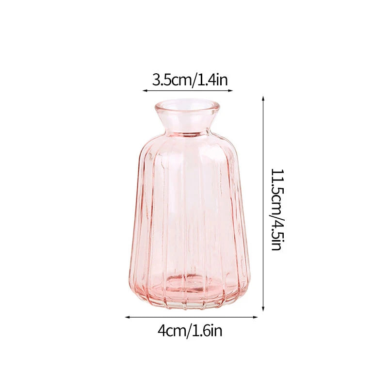 Vintage Transparent Glass Vase | Flower Bottle & Plant Pot