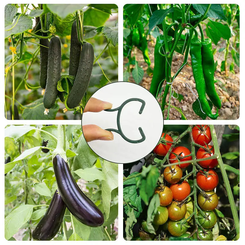 100/200Pcs Horticultural Clip Ring Butterfly Buckle Large Eight Character Plant Binding Tie Plant Support Climbing Plant Clip Peaceful Pleasures Health and Wellness