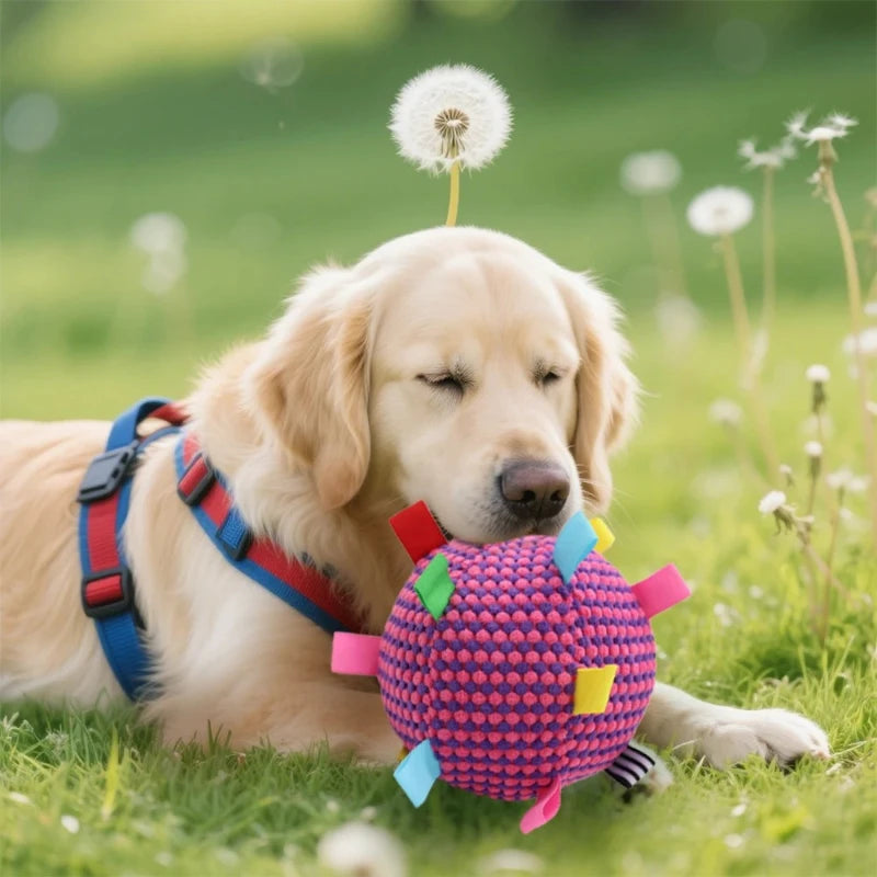 Interactive Ball Dog Toy Suitable for Chewing Training, Stress Relief, Bite Sound Resistance, Plush tug-of-war Toy Peaceful Pleasures Health and Wellness