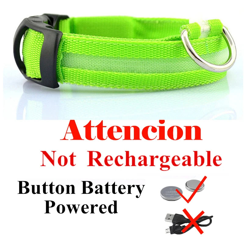 Colorful USB Rechargeable Pet Dog LED Glowing Collar Luminous Flashing Necklace Outdoor Walking Night Safety Supplies DC05 Peaceful Pleasures Health and Wellness Green Battery XS(28-40cm)