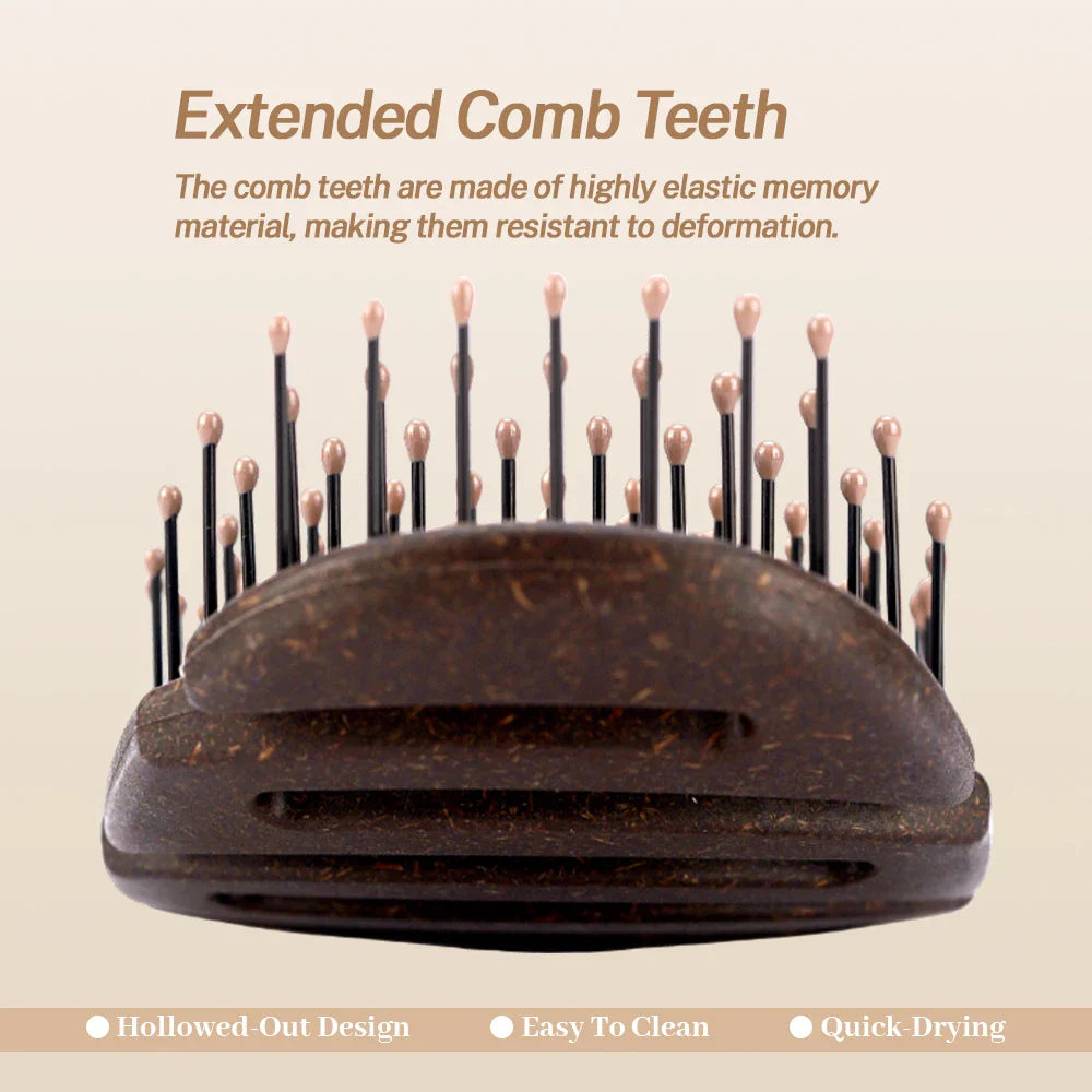 Hollow Anti-Static Hair Brush – Detangling Scalp Massage Comb