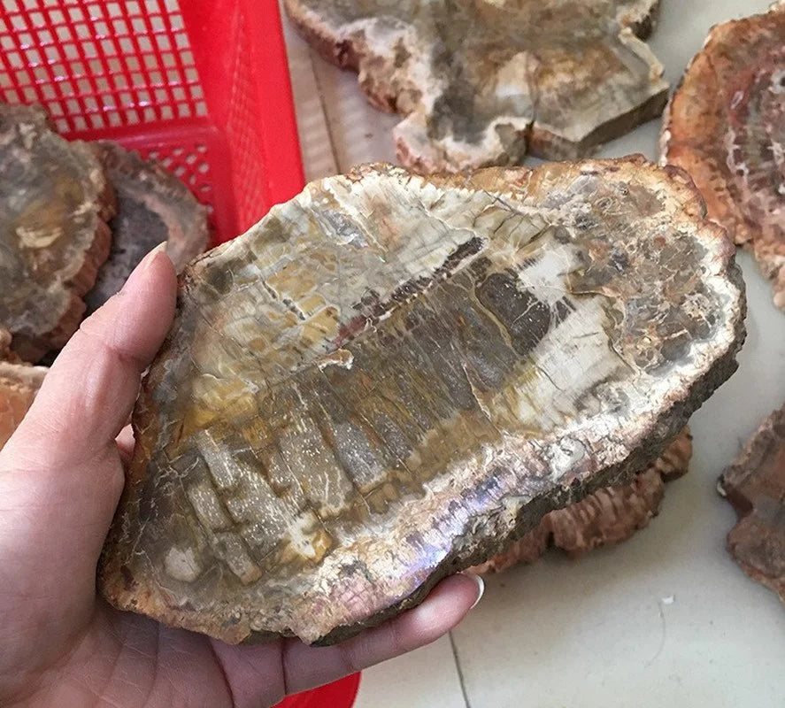 Natural Wood Shape Original Stone Raw Rock Crystal Quartz Mineral Specimen Healing Reiki Home Decoration Crafts Peaceful Pleasures Health and Wellness