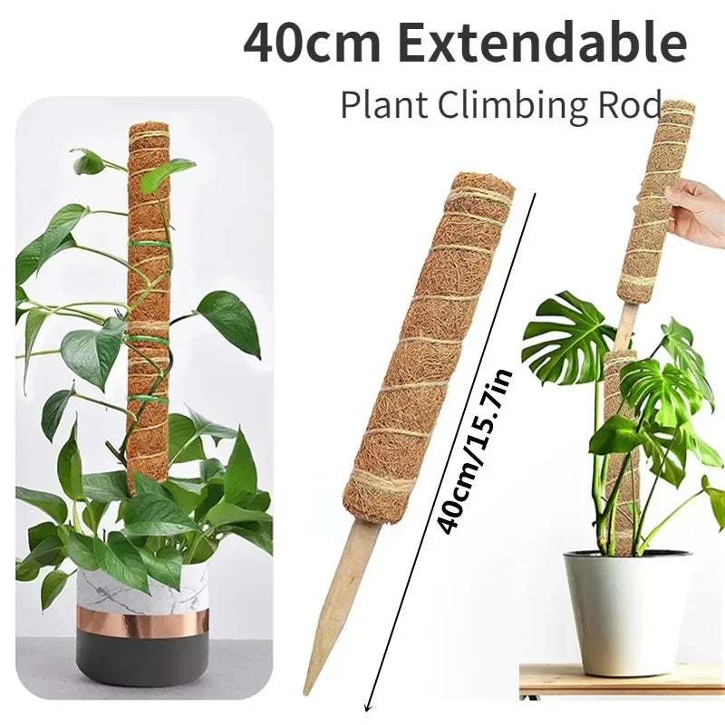 Green Basket Climbing Column Coconut Brown Rod Turtle Back Bamboo Support Rod Fixing Bracket Peaceful Pleasures Health and Wellness 1PC 40cm
