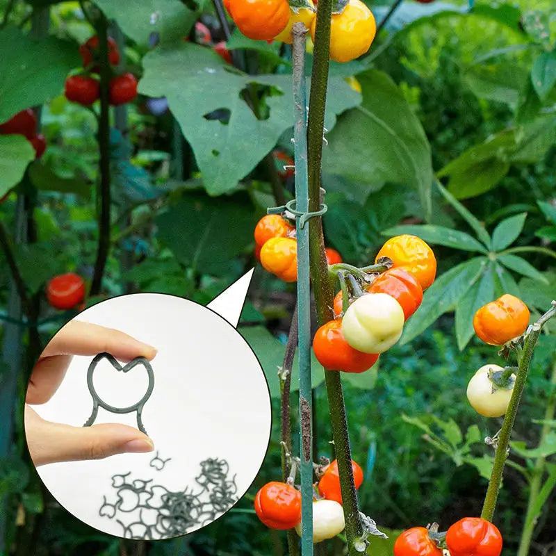100/200Pcs Horticultural Clip Ring Butterfly Buckle Large Eight Character Plant Binding Tie Plant Support Climbing Plant Clip Peaceful Pleasures Health and Wellness