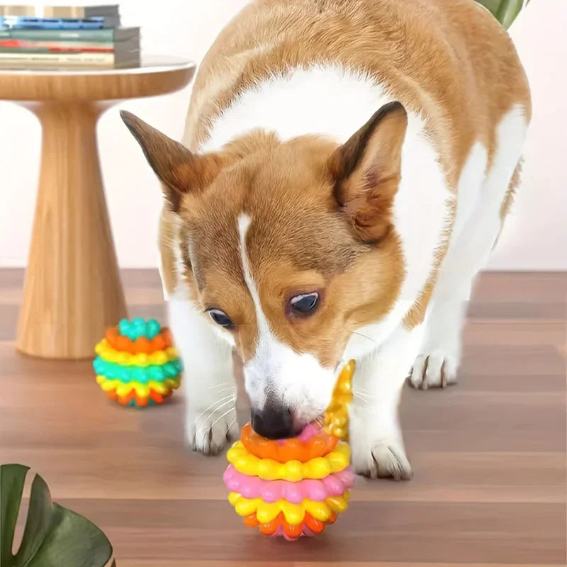 TPR Dog Chew Ball Toy – Bite-Resistant for Small & Medium Dogs