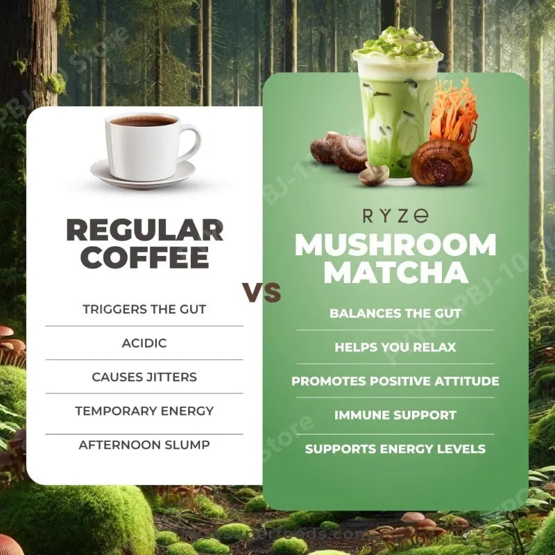 Organic Mushroom Matcha Supplement | Lion's Mane & Reishi 180g