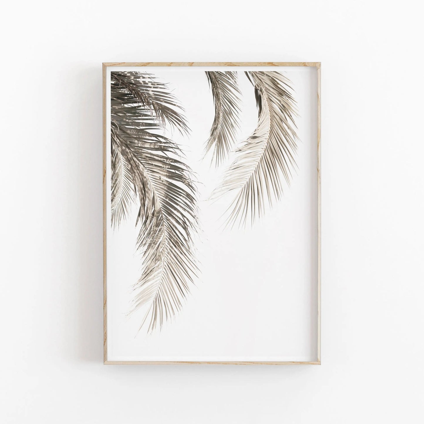 Nordic Botanical Canvas Wall Art – Eucalyptus & Palm Leaves