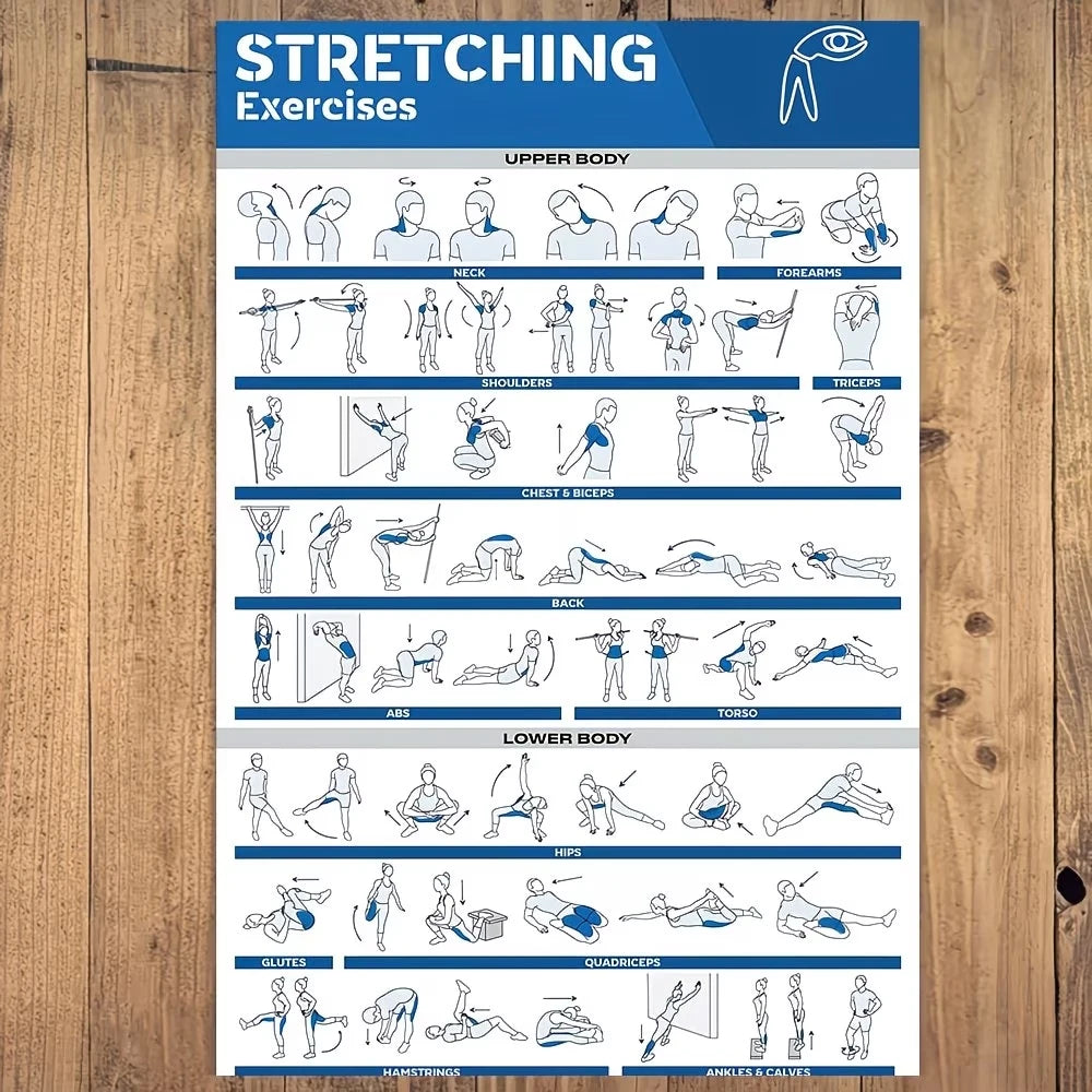 Full-Body Stretches Gym Canvas Wall Art Print | Fitness Poster