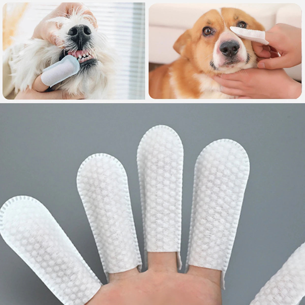 Pet Finger Cot Wipes for Dogs & Cats – 50 Pack Disposable