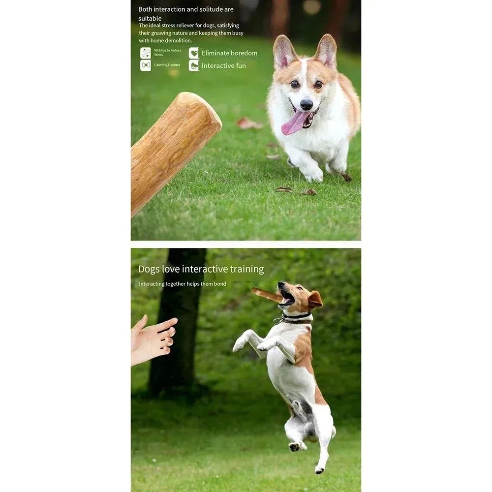 Natural Coffee Wood Dog Chew Toys Long Lasting Chewable Stick Dogs Supplies Stress Relief Chew Stick Pet Molar Toy for Dog Puppy Peaceful Pleasures Health and Wellness