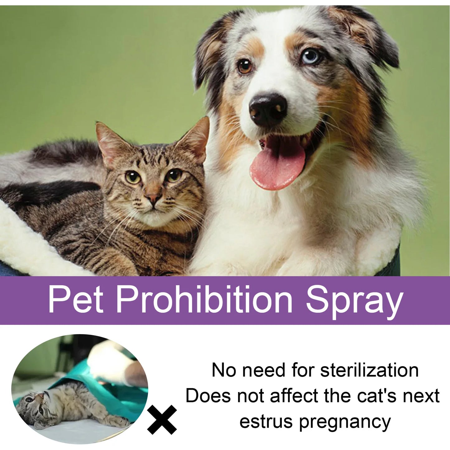 Pet Calming Pheromone Spray for Cats & Dogs – Anxiety Relief 50ml