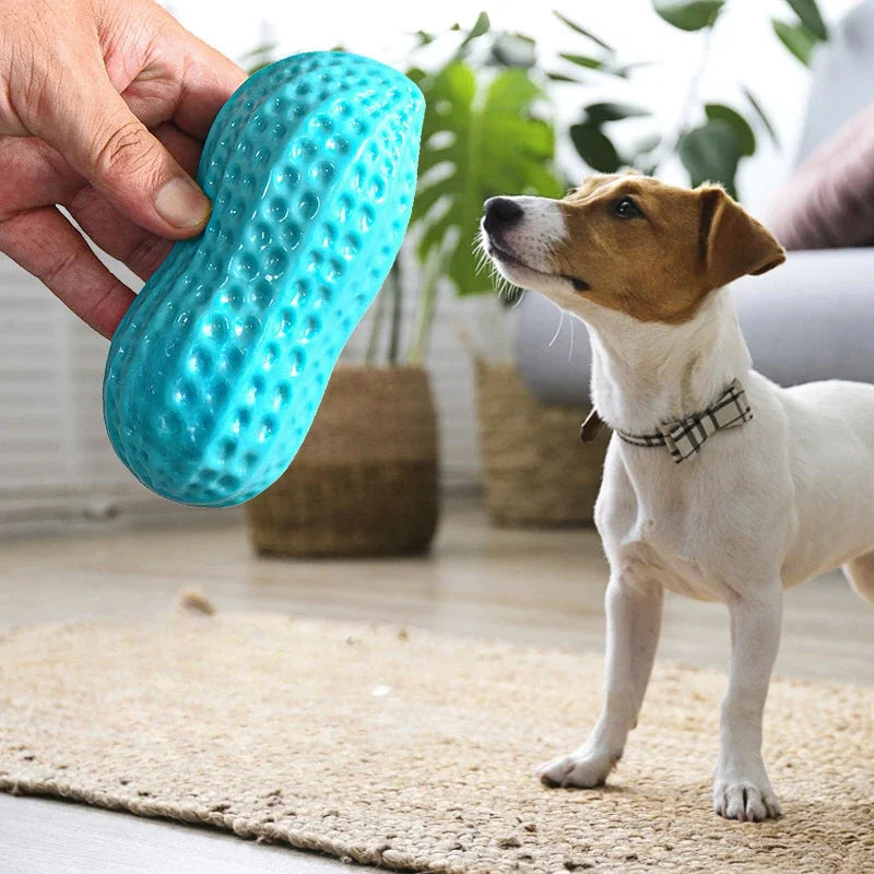Dog Squeaky Peanut Chew Toy | TPR Teeth Cleaning Interactive
