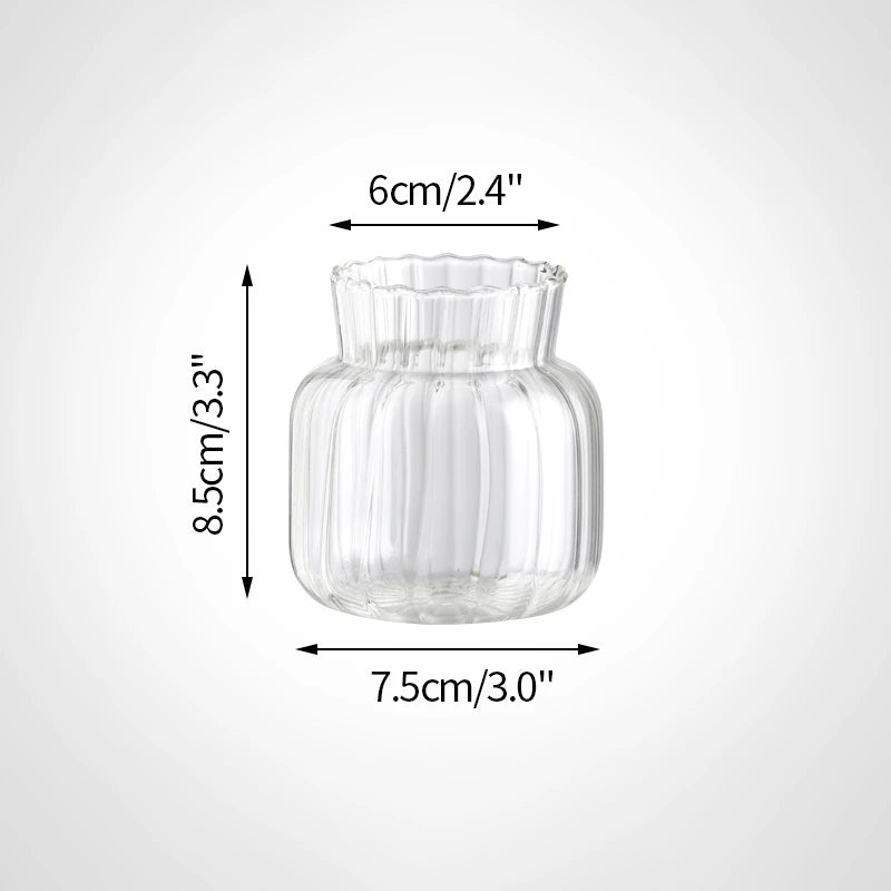 Vintage Transparent Glass Vase | Flower Bottle & Plant Pot