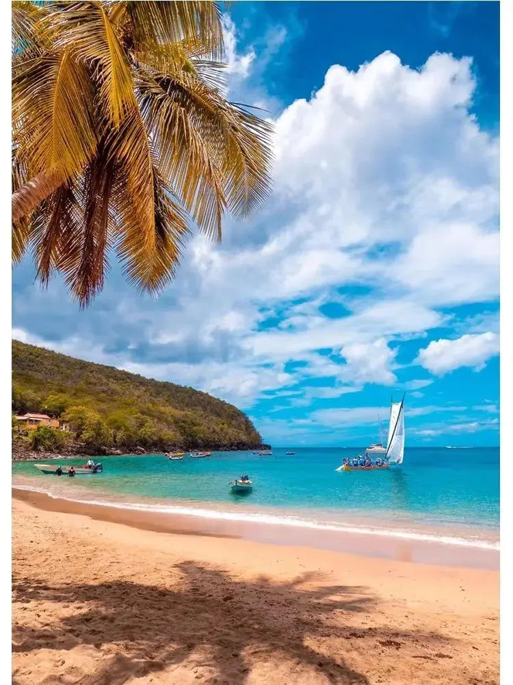 Martinique Beach Ocean Vintage Canvas Wall Art | Unframed Print