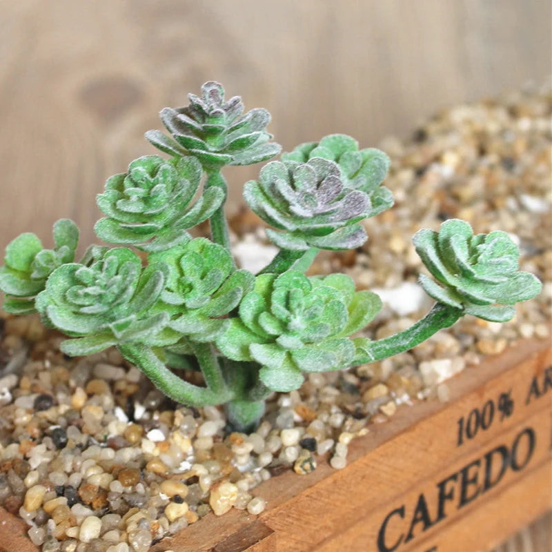 Artifical Plastic Succulent Plant Realistic Textured Cactus Mini Faux