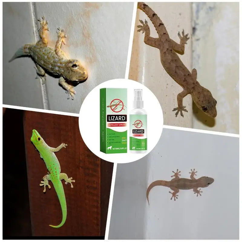 50ml Lizard Repellents Spray Natural Lizard Repellents Lavender Oil Gecko Spray Powerful Pet Safe Reptile Deterrents Control Peaceful Pleasures Health and Wellness