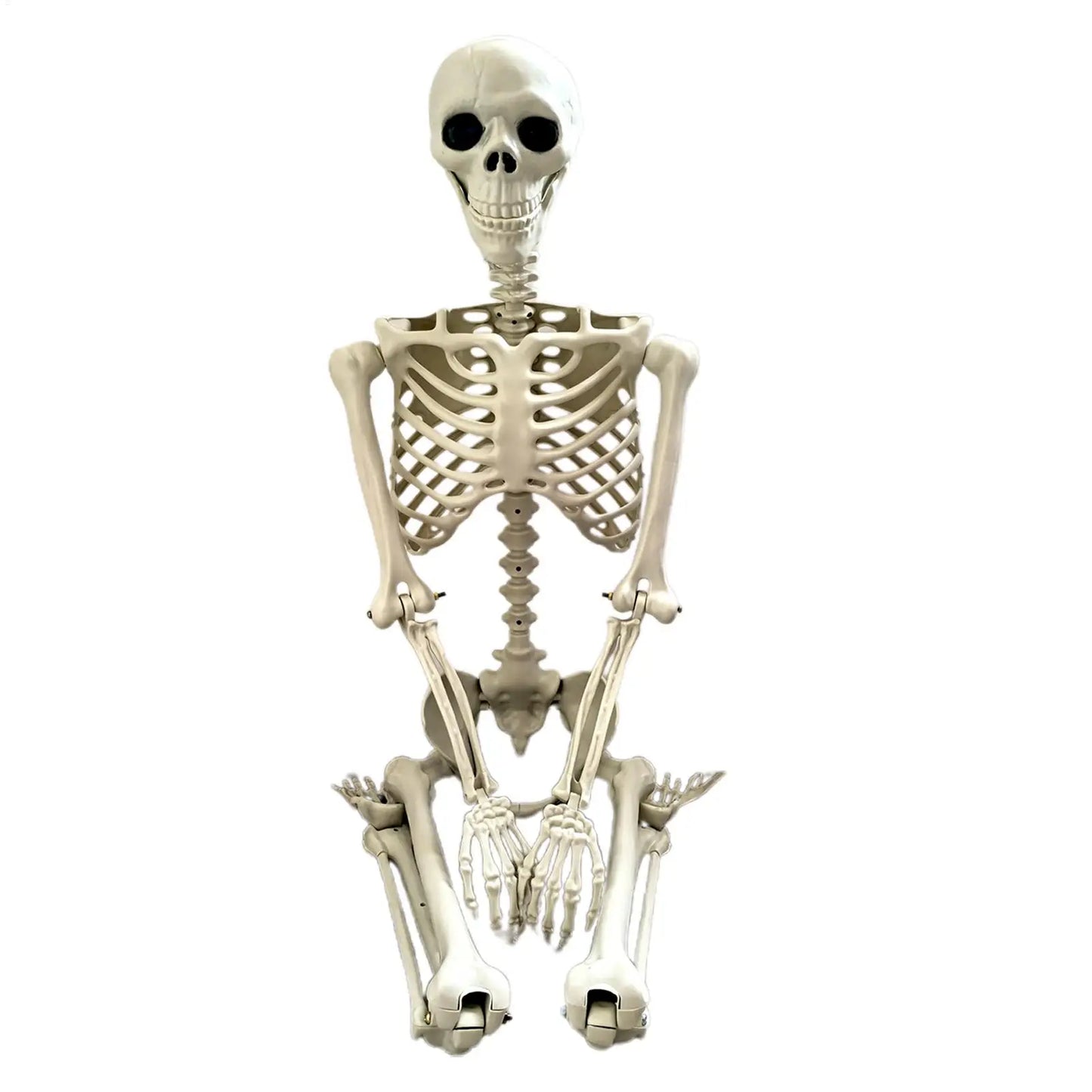 90cm Posable Halloween Skeleton Prop | Haunted House Decor