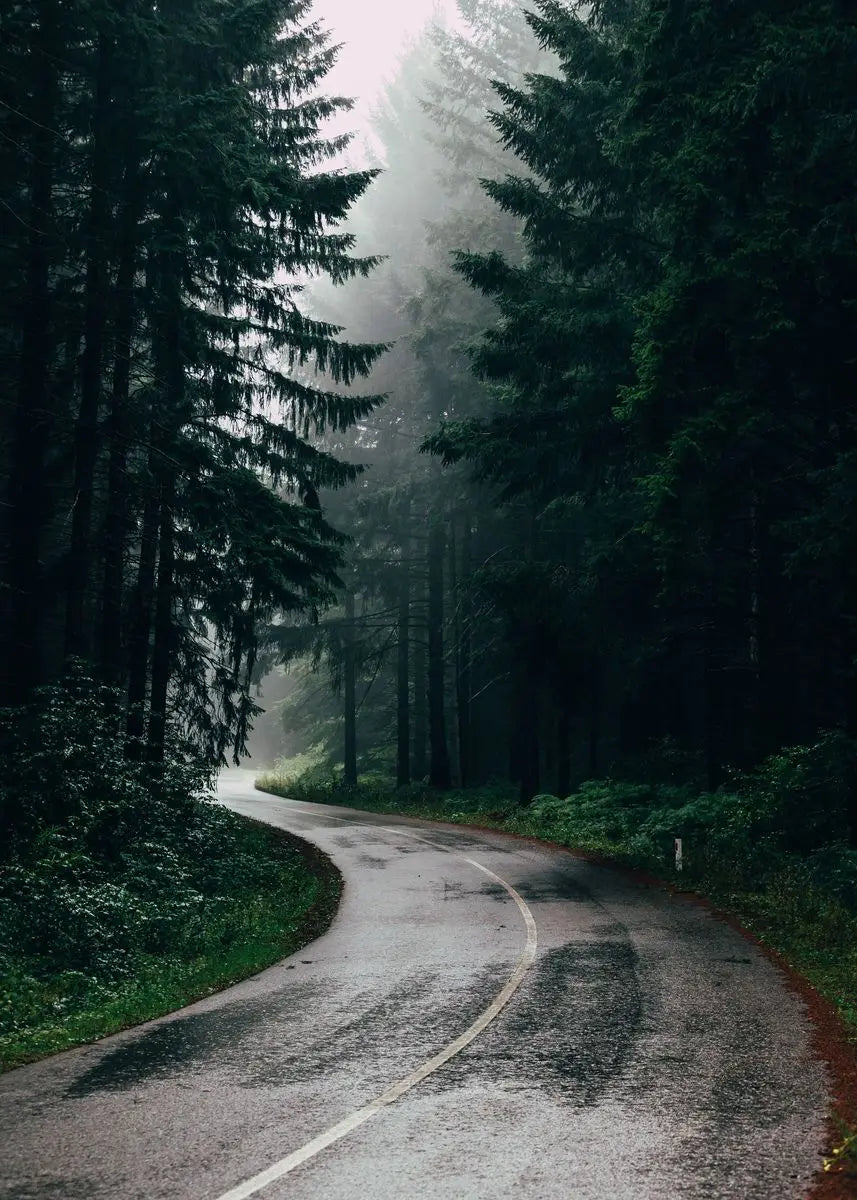 Dark Green Forest Foggy Mountain Canvas Wall Art | Nature Print