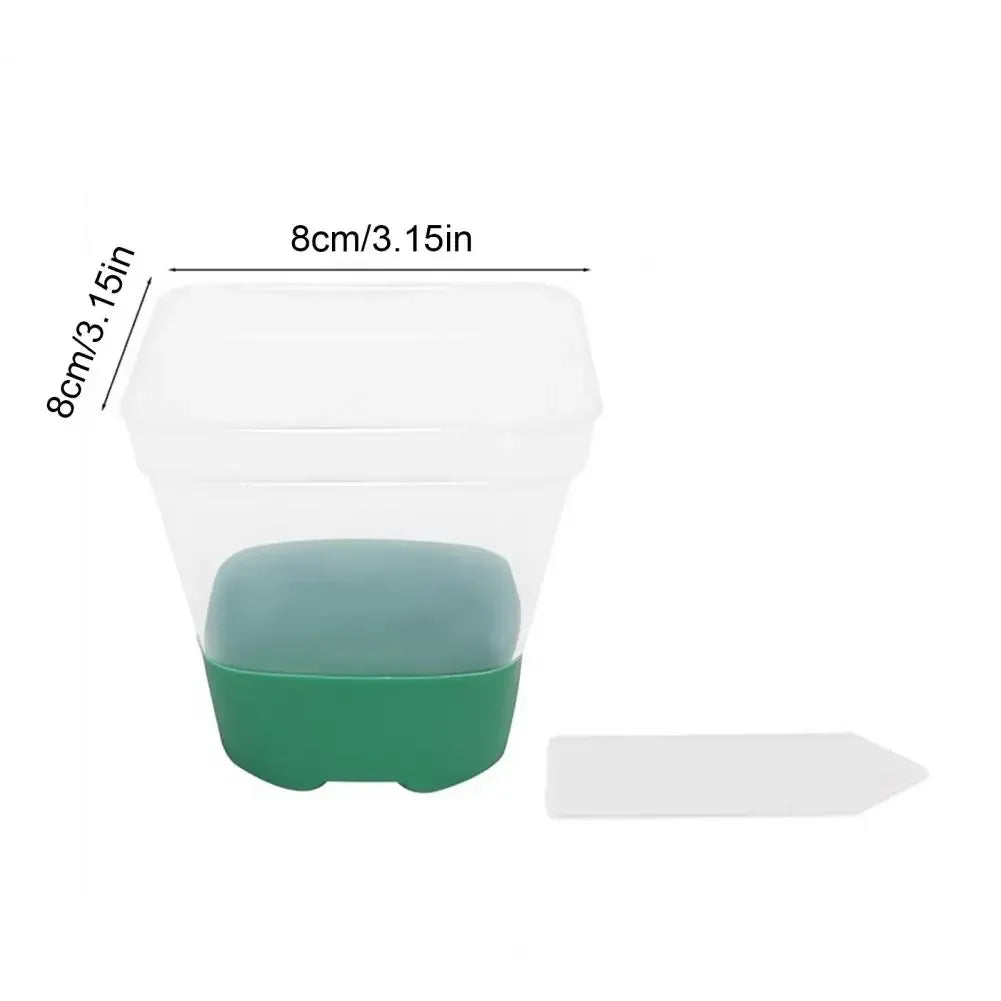 6 plastic square flower pots, transparent planting and seedling pots, reusable, breathable with silicone bottom and label Peaceful Pleasures Health and Wellness