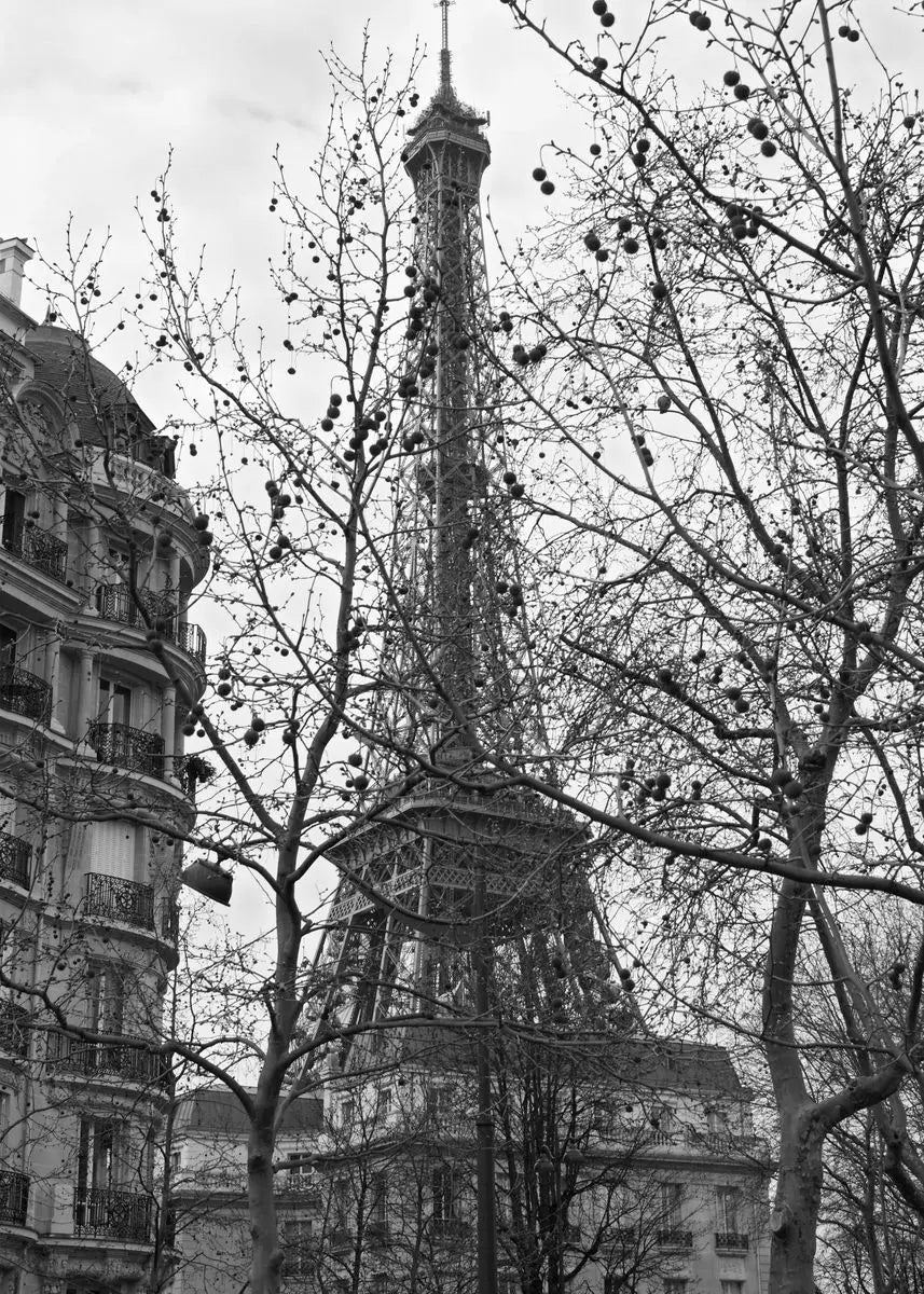 Eiffel Tower Black & White Canvas Wall Art | Paris Print