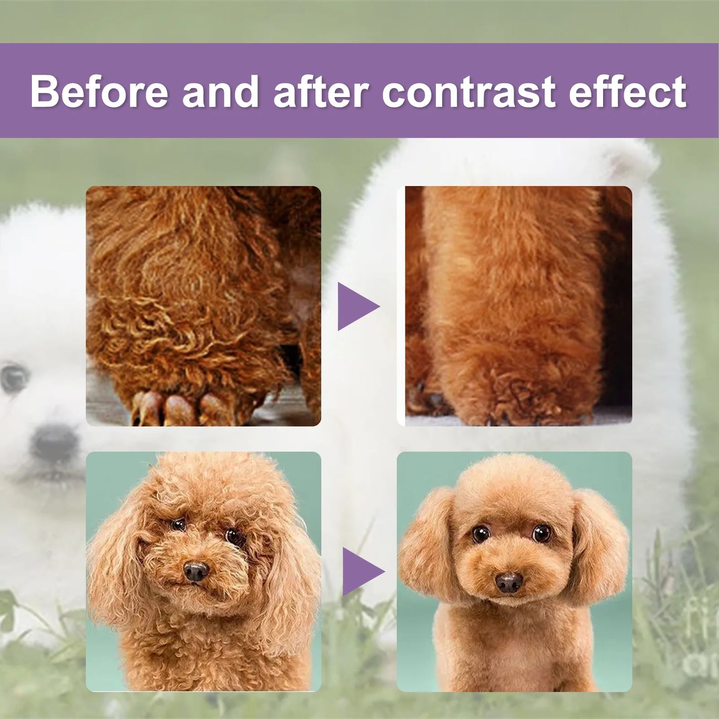Pet Hair Conditioner Hair Softening Prevent Hair Knots Bathless Clean Odor Removal Moisturizing Cat Anti Mite Ticks Dog Shampoo Peaceful Pleasures Health and Wellness