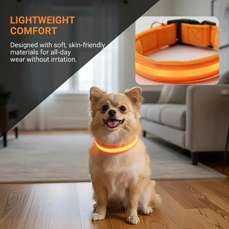 LED Light-Up Dog Collar – Glowing Safety Collar for Night Walks