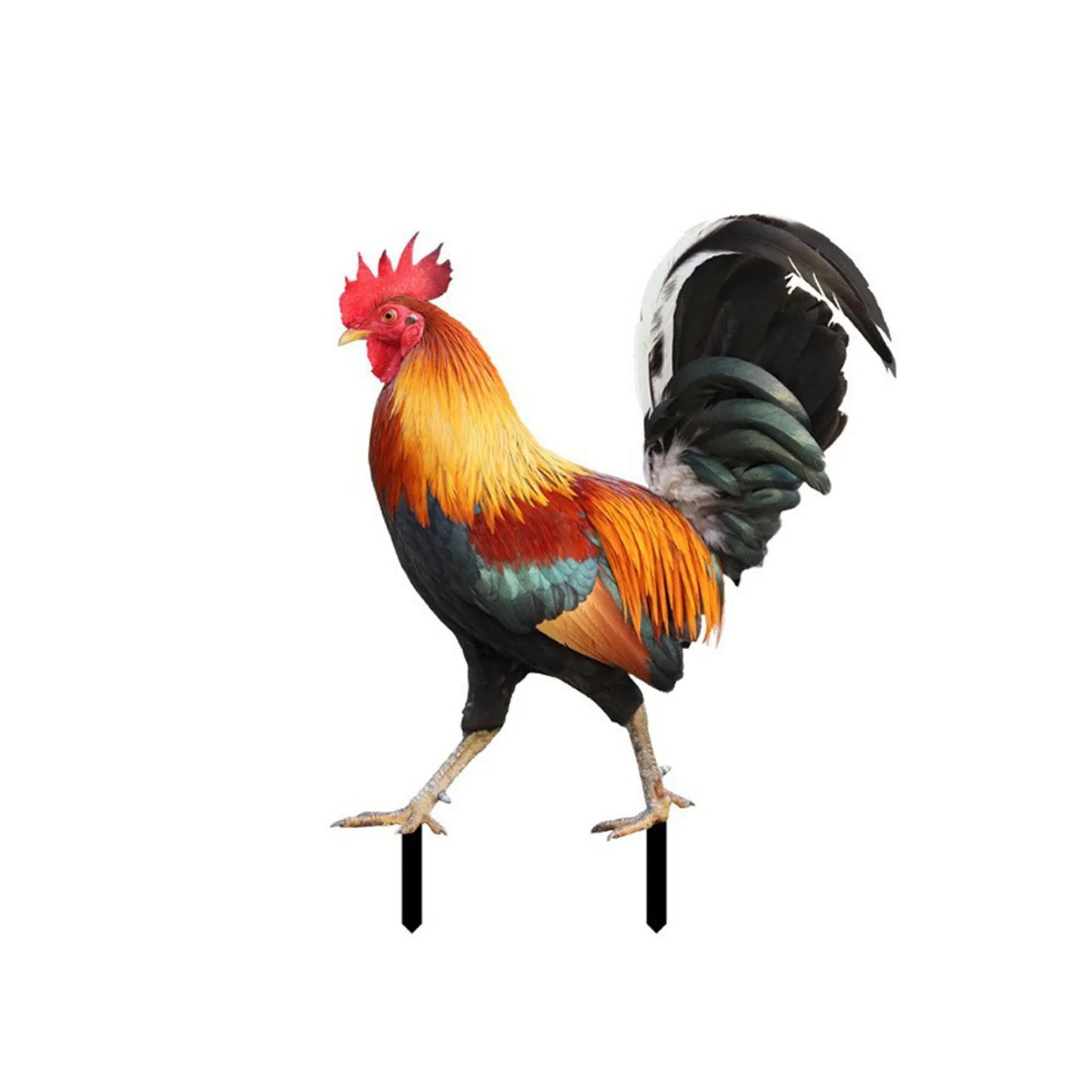 2D Acrylic Chicken Rooster Garden Stake Yard Art Ornament