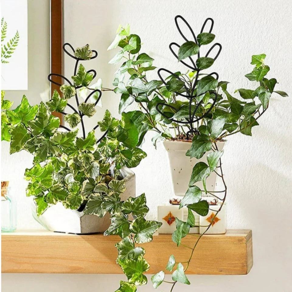 Indoor Plant Trellis – Leaf Shape Climbing Support for Pots Plant Trellis Peaceful Pleasures Health and Wellness