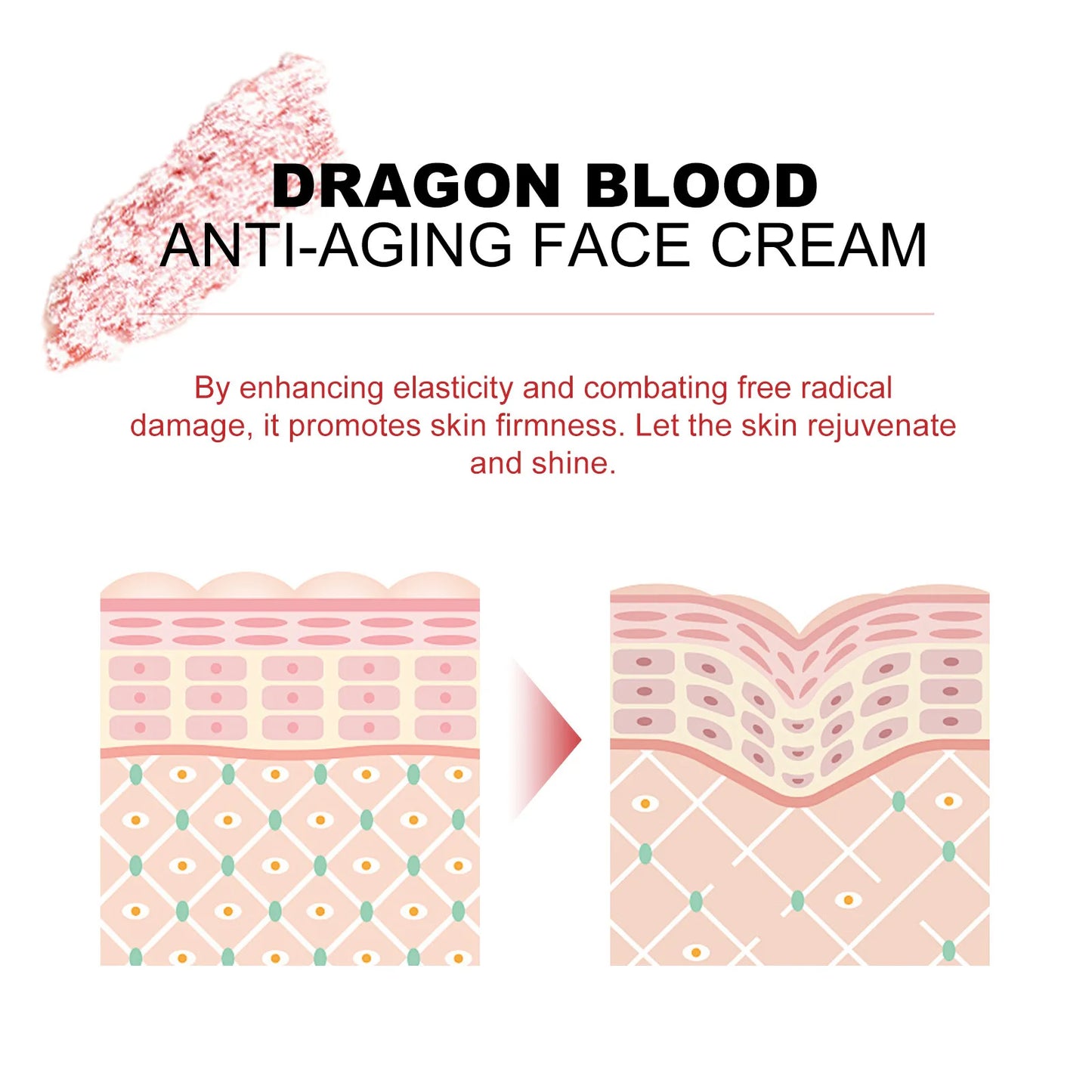 EELHOE Dragon Blood Face Cream – Firming & Moisturizing 50g