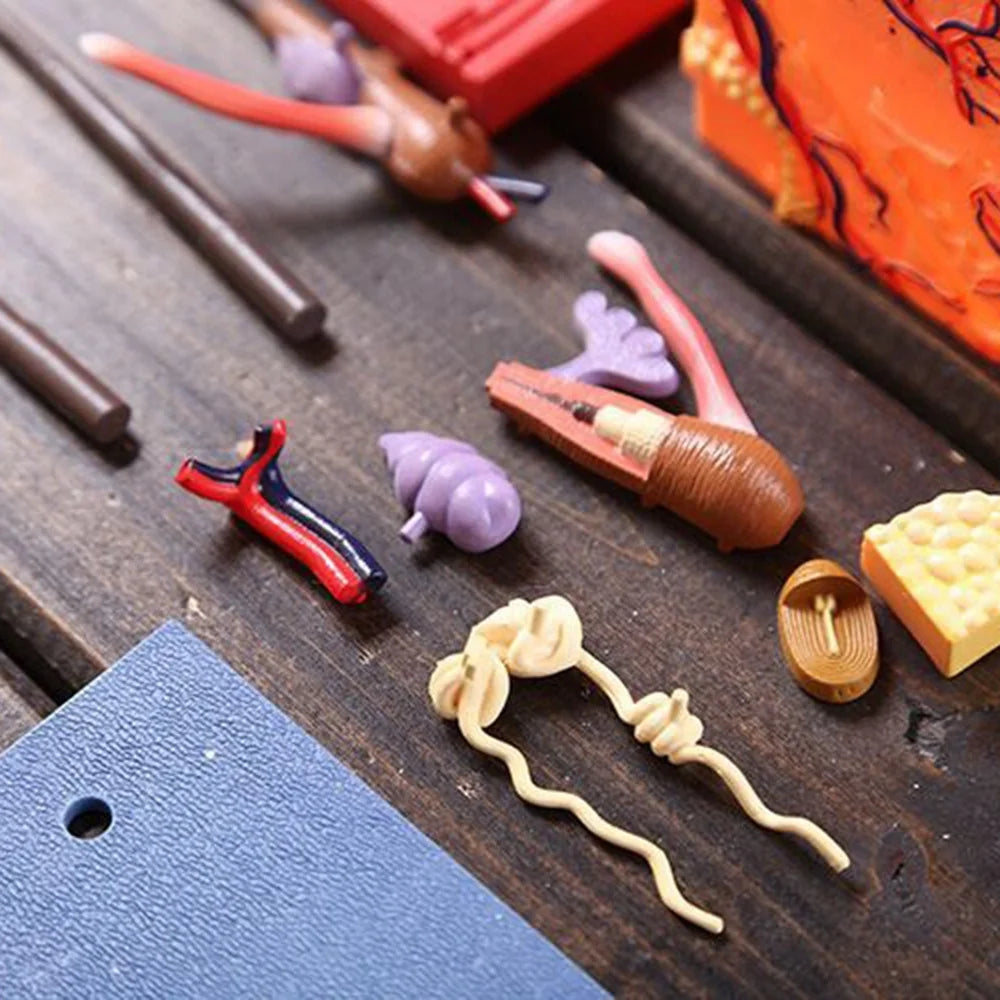 4D Human Skin Model Hair Organs Assembling Puzzle Model Teaching Model Manikin Science Anatomical Model Peaceful Pleasures Health and Wellness