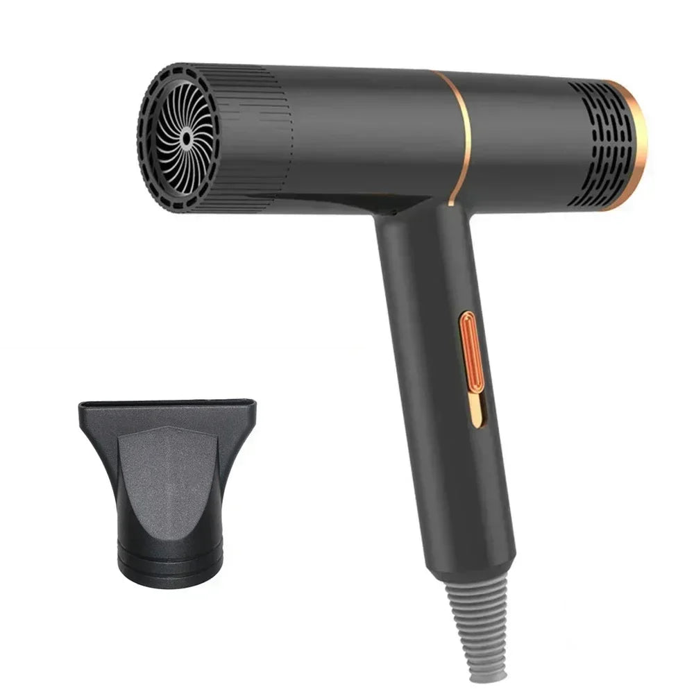 Professional Hair Dryer 110V/220V, Powerful Fast Heating High-speed Styler for Home and Dormitory Salon Use Peaceful Pleasures Health and Wellness Black US