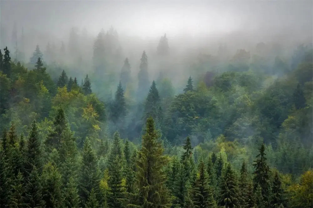 Dark Green Forest Fog Mountain Canvas Wall Art | Nature Poster